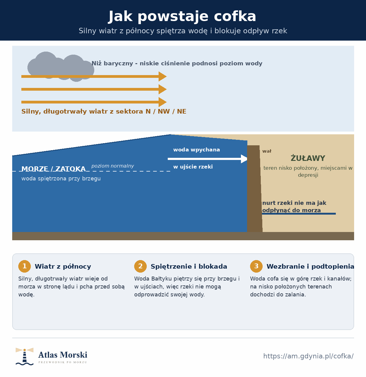 Schemat powstawania cofki - wiatr z północy spiętrza wodę Bałtyku przy brzegu, blokuje odpływ rzeki i wpycha wodę w górę jej biegu, zalewając nisko położone tereny