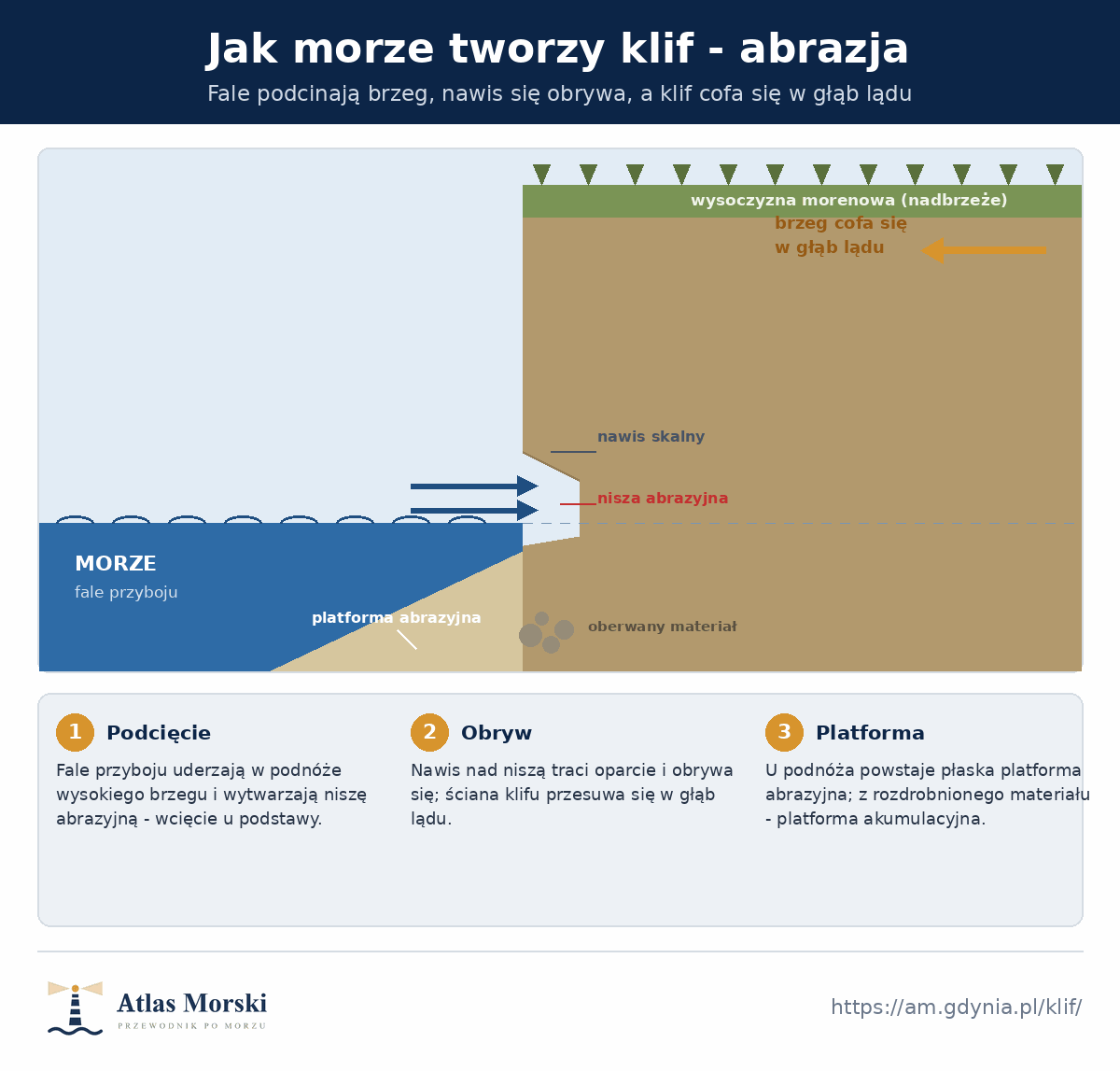 Przekrój wyjaśniający abrazję - fale przyboju wytwarzają niszę abrazyjną u podstawy klifu, nawis skalny obrywa się, brzeg cofa się w głąb lądu, u podnóża powstaje platforma abrazyjna