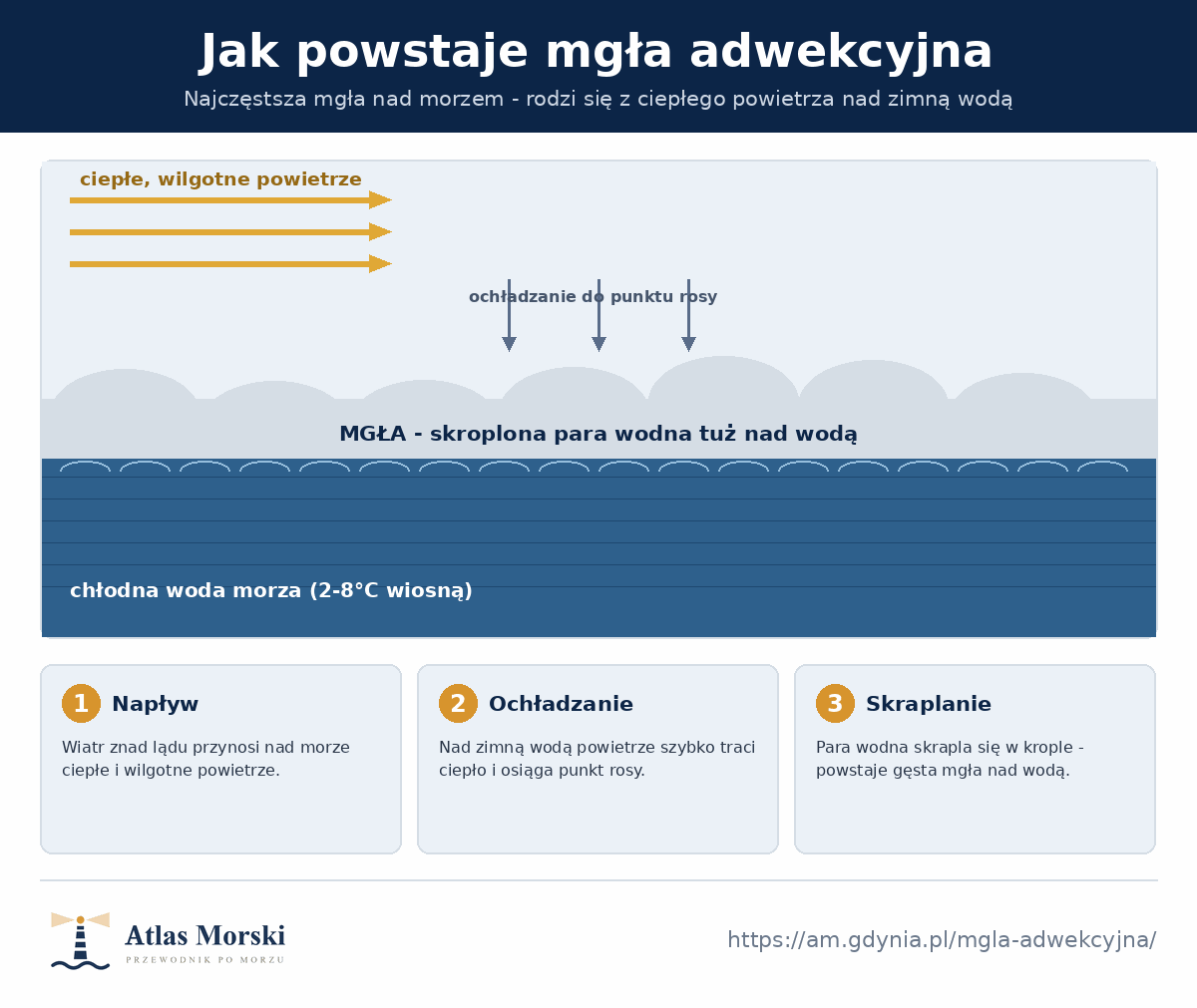 Schemat powstawania mgły adwekcyjnej nad morzem - ciepłe, wilgotne powietrze napływa nad chłodną wodę, ochładza się do punktu rosy, para wodna skrapla się i tworzy mgłę tuż nad powierzchnią