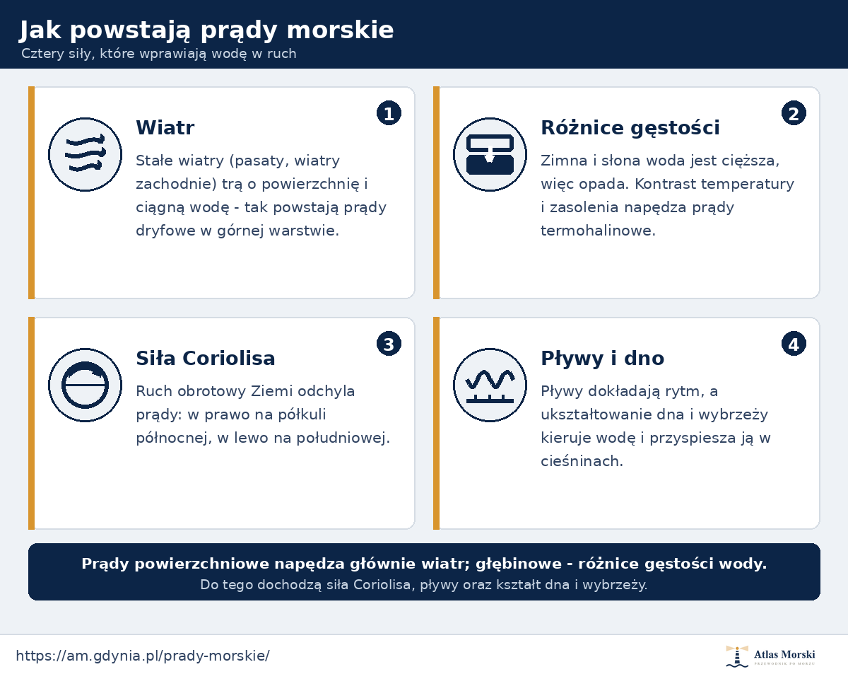 Infografika: jak powstają prądy morskie - wiatr, różnice gęstości, siła Coriolisa oraz pływy i ukształtowanie dna