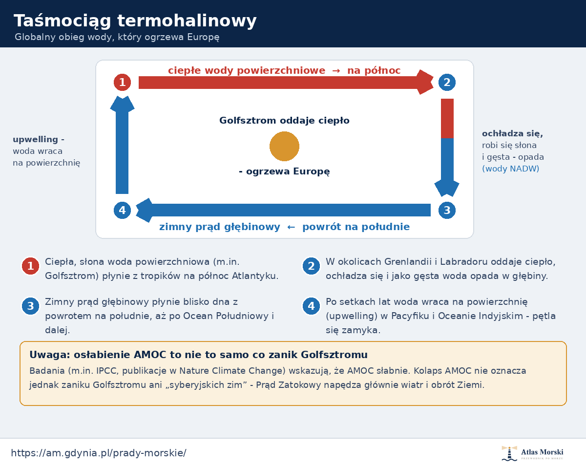 Schemat taśmociągu termohalinowego - globalny obieg wody oceanicznej, który ogrzewa Europę