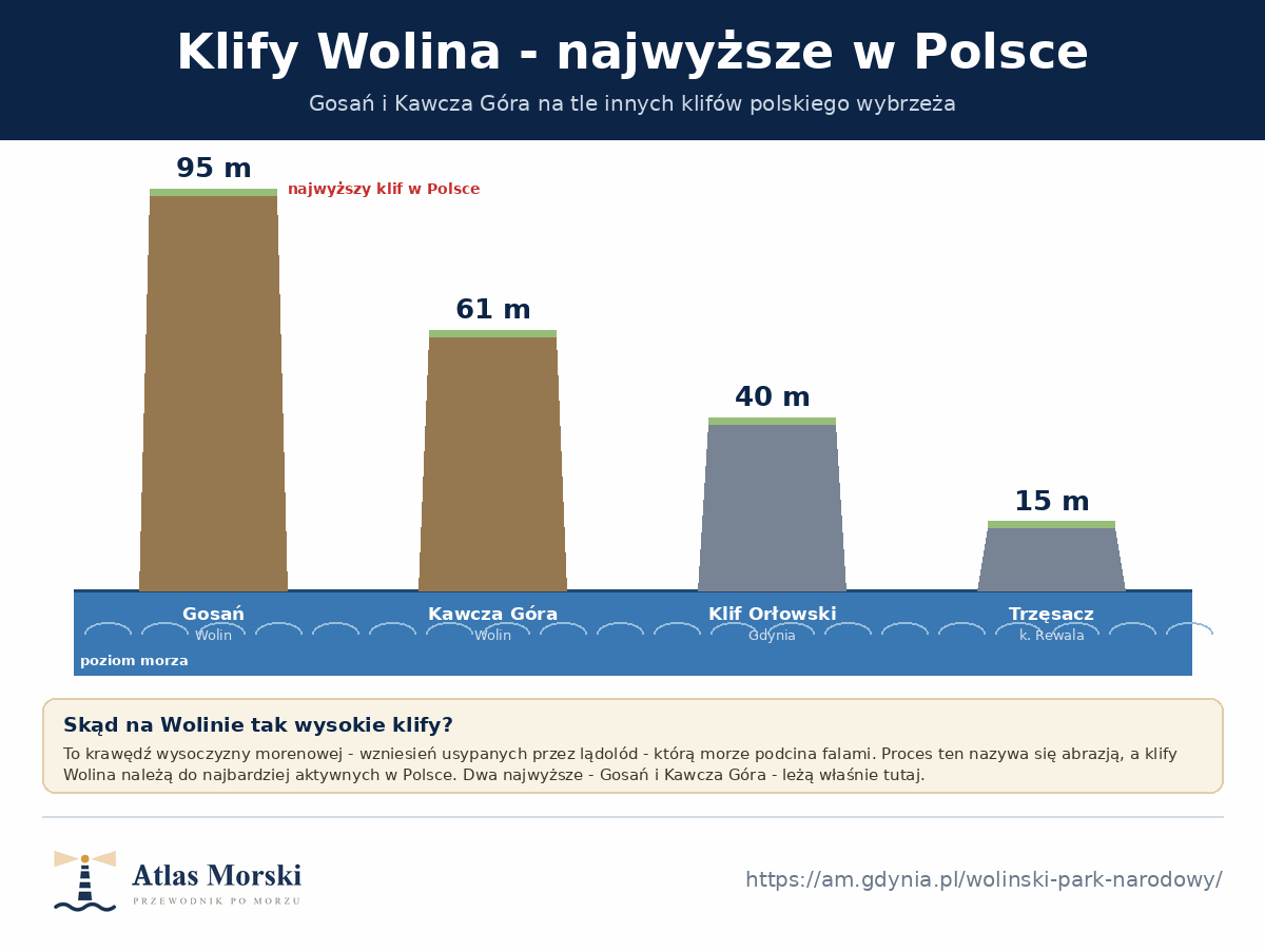 Wykres wysokości klifów - Gosań na Wolinie 95 m i Kawcza Góra 61 m na tle Klifu Orłowskiego w Gdyni 40 m i klifu w Trzęsaczu 15 m