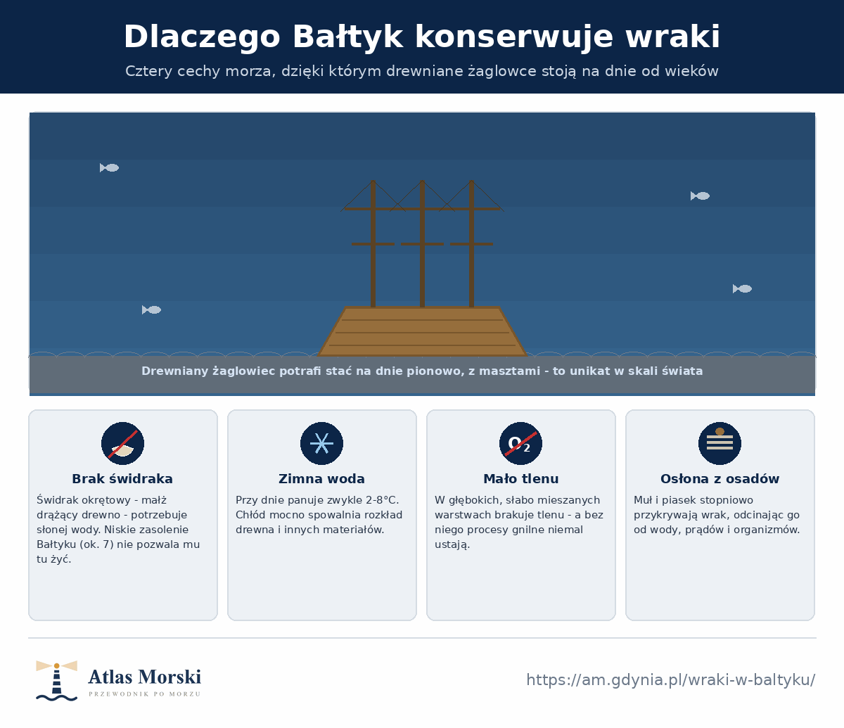 Cztery powody, dla których Bałtyk konserwuje wraki - brak świdraka okrętowego dzięki niskiemu zasoleniu, zimna woda 2-8 stopni, brak tlenu w głębinach i osłona z osadów - z żaglowcem stojącym pionowo na dnie