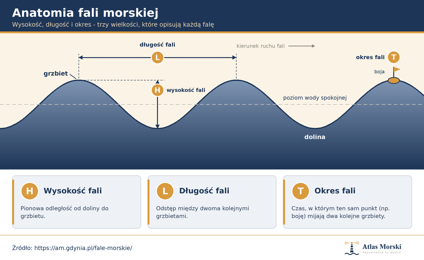 Anatomia fali morskiej - grzbiet, dolina, wysokość fali (H), długość fali (L), okres fali (T) i poziom wody spokojnej na przekroju fali